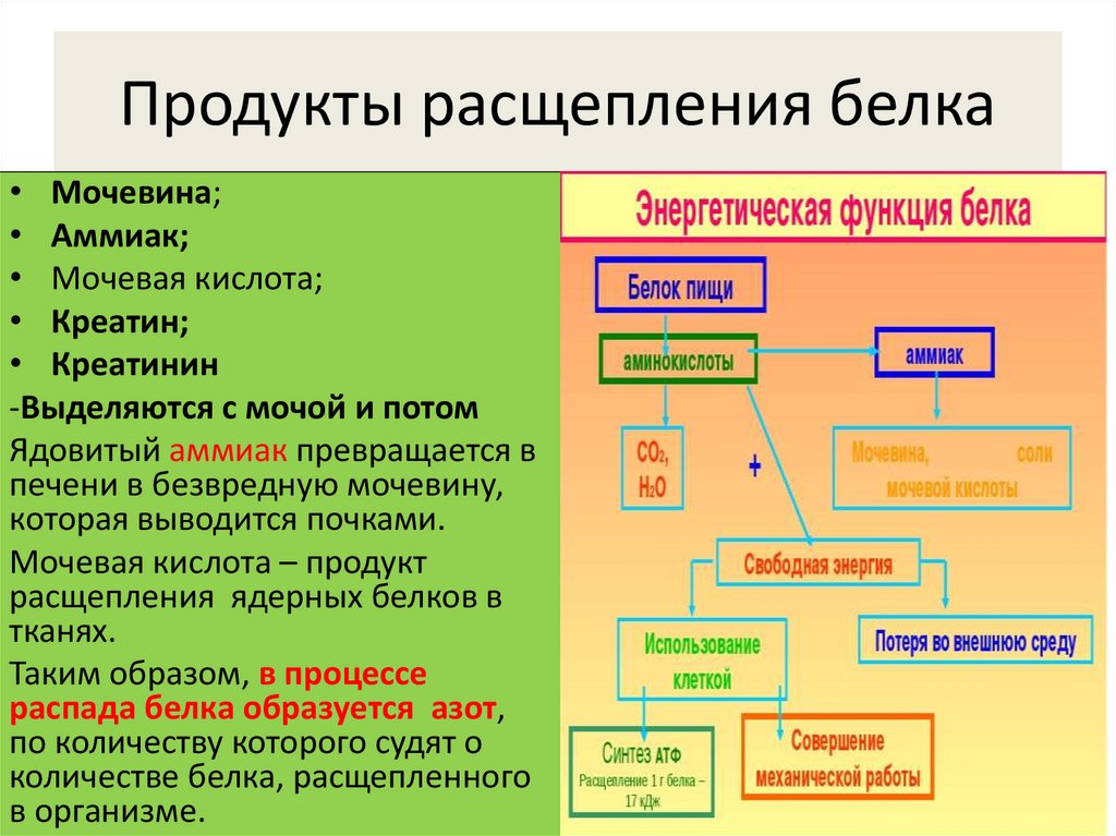 Продукт расщепления