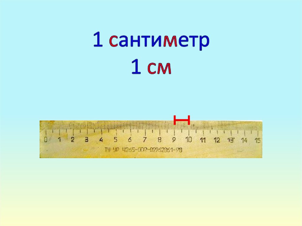 Сантиметр единица измерения длины 1 класс