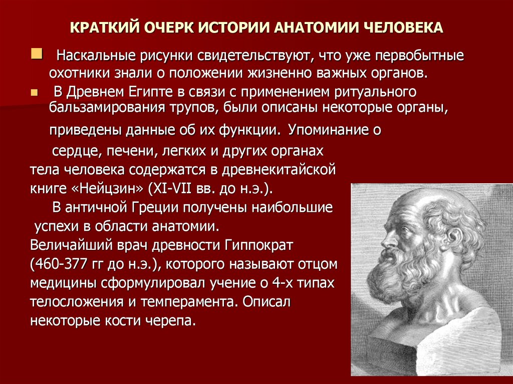 История анатомии. Краткая история развития анатомии. Исторический очерк развития анатомии. Краткий очерк истории развития анатомии. Краткий исторический очерк развития анатомии и физиологии.