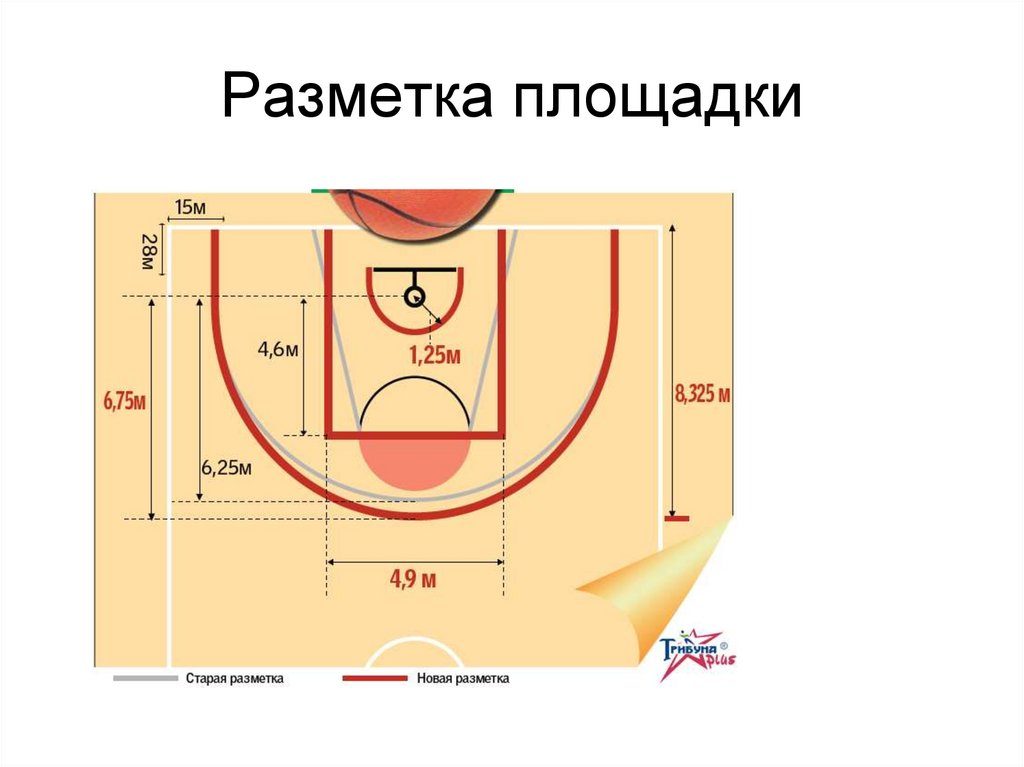 Укажи размеры баскетбольной площадки