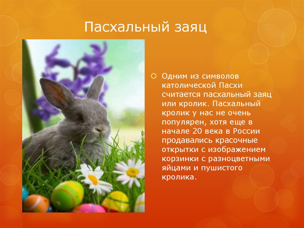 Пасхальный кролик почему символ пасхи