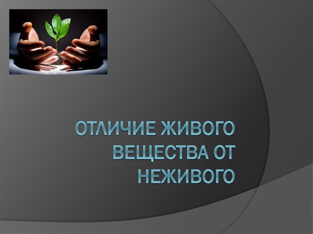 В чем отличие живого от неживого в вещественном плане