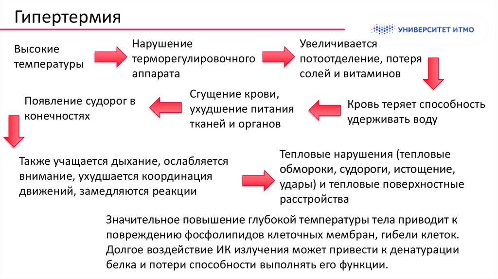 Гипертермия