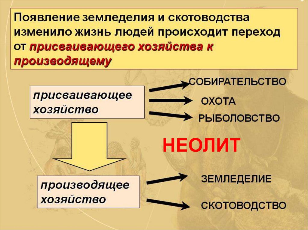 Что является хозяйством. Возникновение земледелцы и скотовотство. Зарождение земледелия и скотоводства. Появление земледелия и скотоводства. Производящее хозяйство.