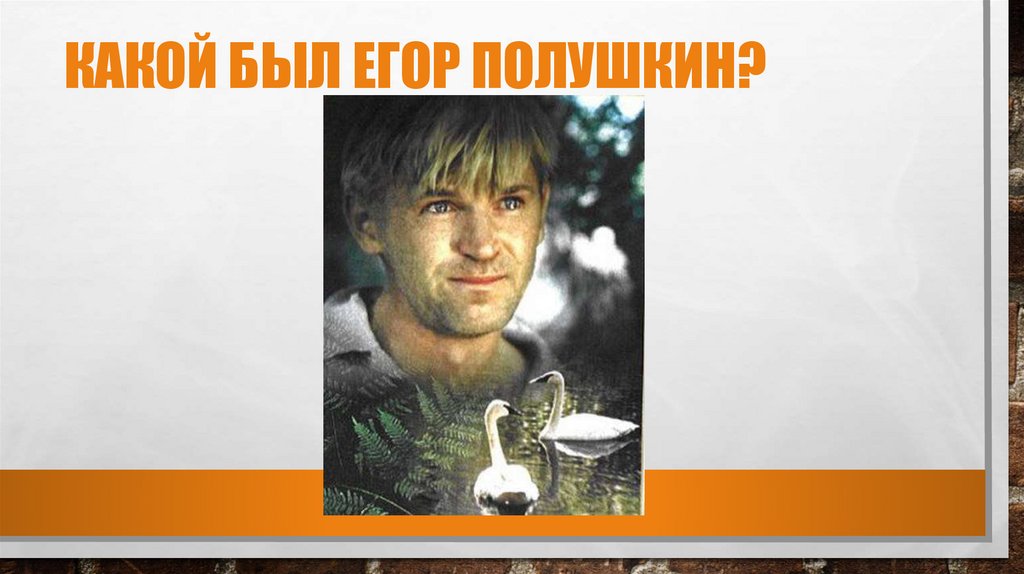 Какой был егор полушкин?