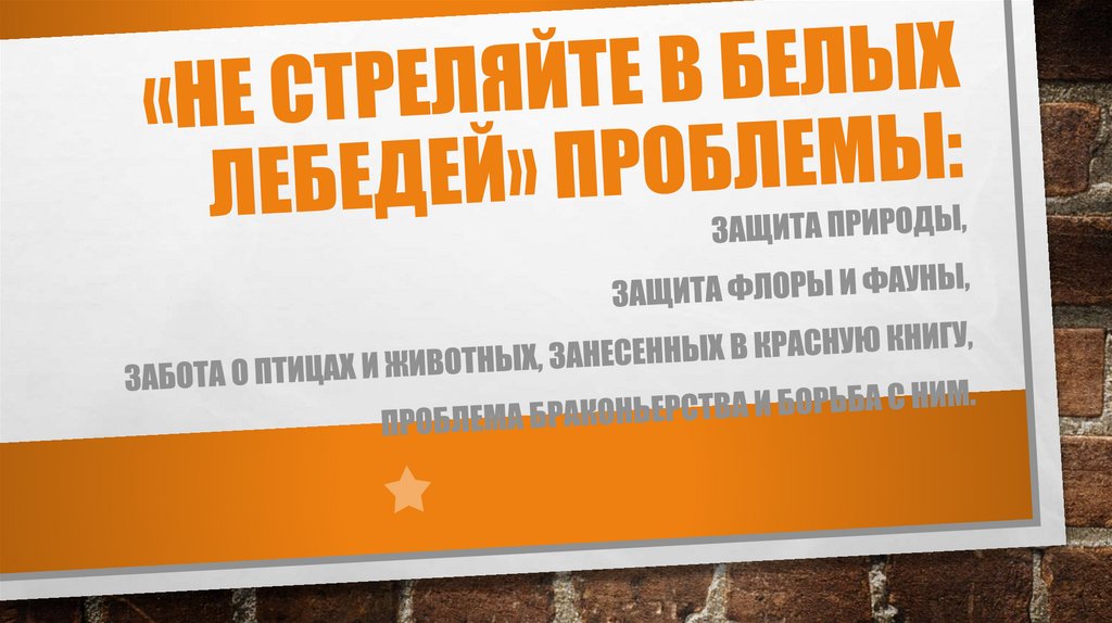 «Не стреляйте в белых лебедей» проблемы: