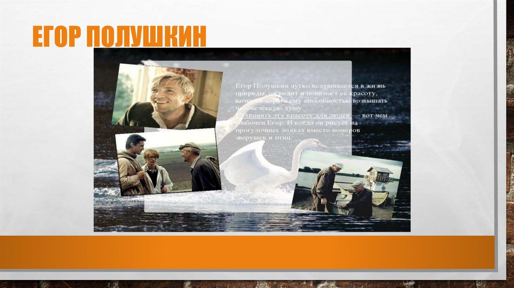 Егор полушкин