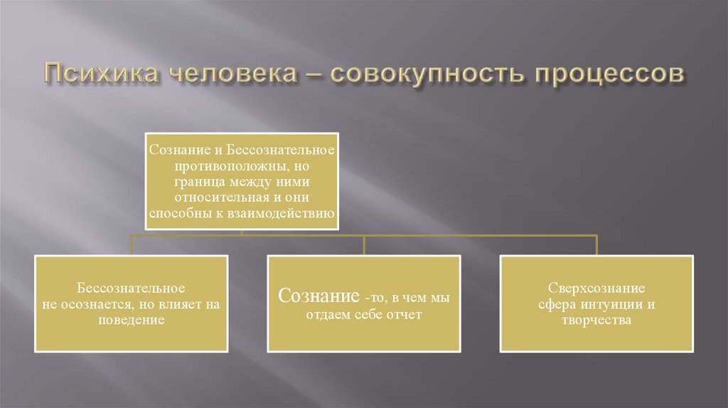 Психика человека – совокупность процессов