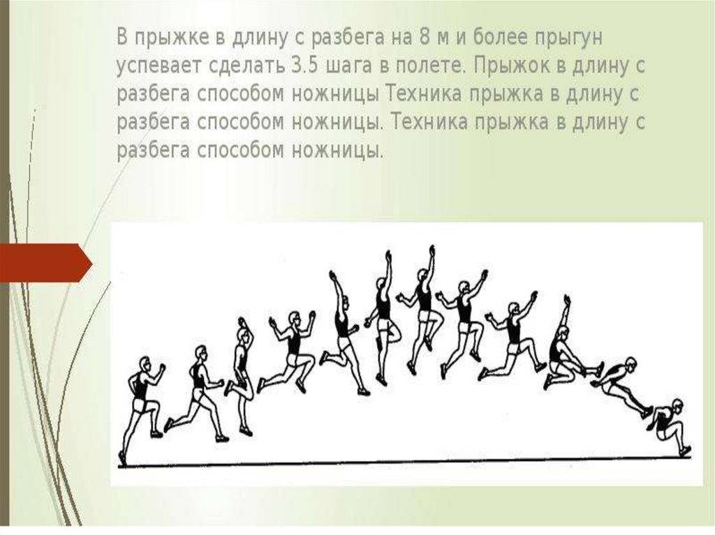 Конспект прыжки в длину с разбега. Прыжок собаки в длину.