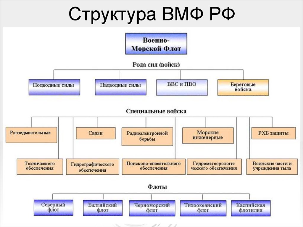 Структура ВМФ РФ