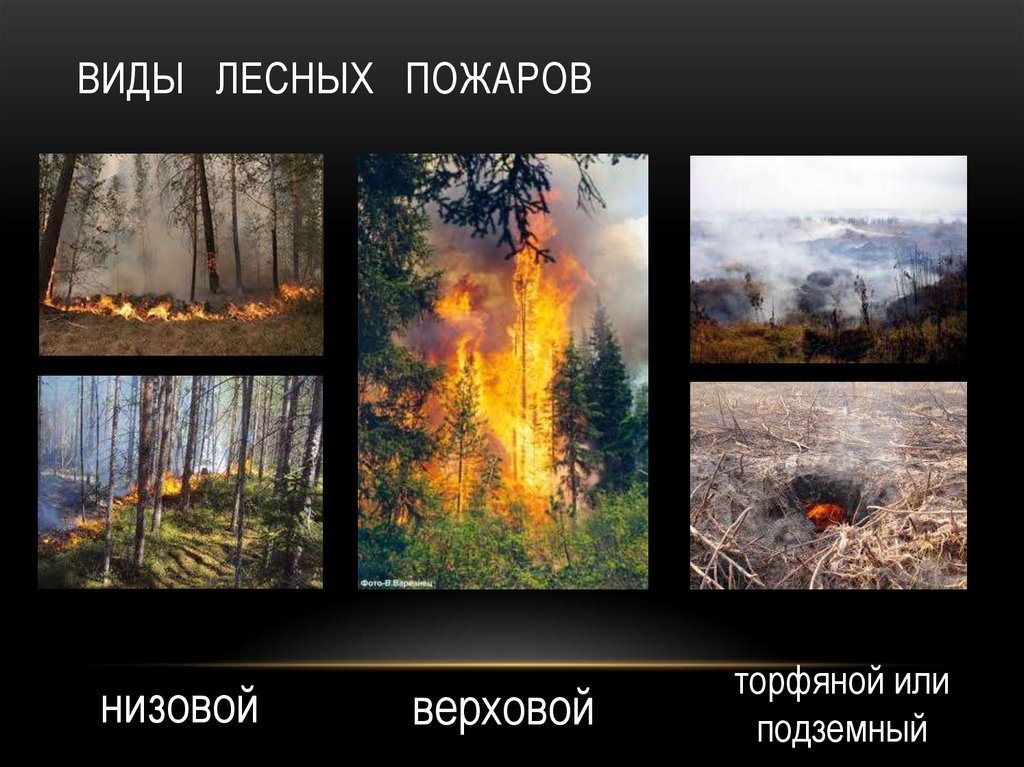 Верховые низовые подземные. Виды лесных пожаров. Лесные пожары бывают трех видов. Виды пожаров в лесу.