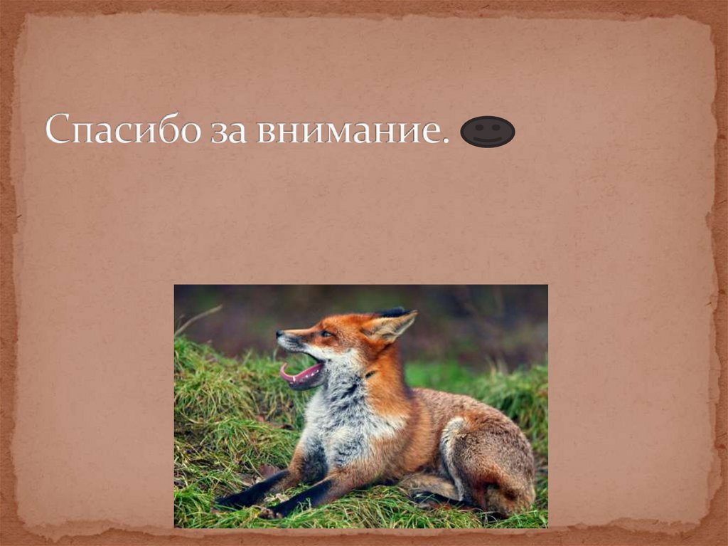 Спасибо за внимание.