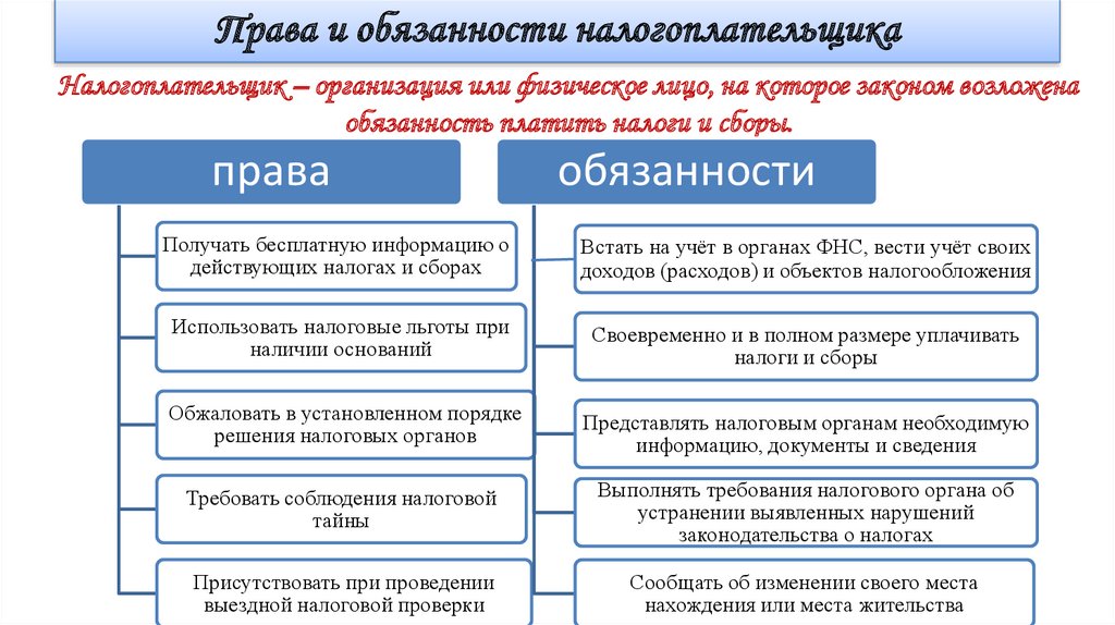 Правовой статус человека и гражданина схема