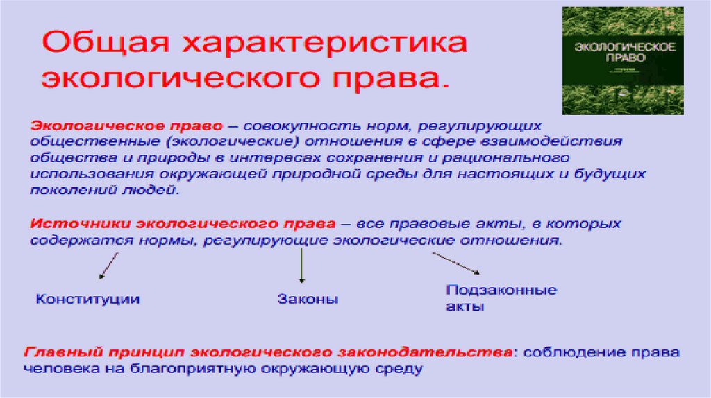 План правовой статус несовершеннолетних граждан