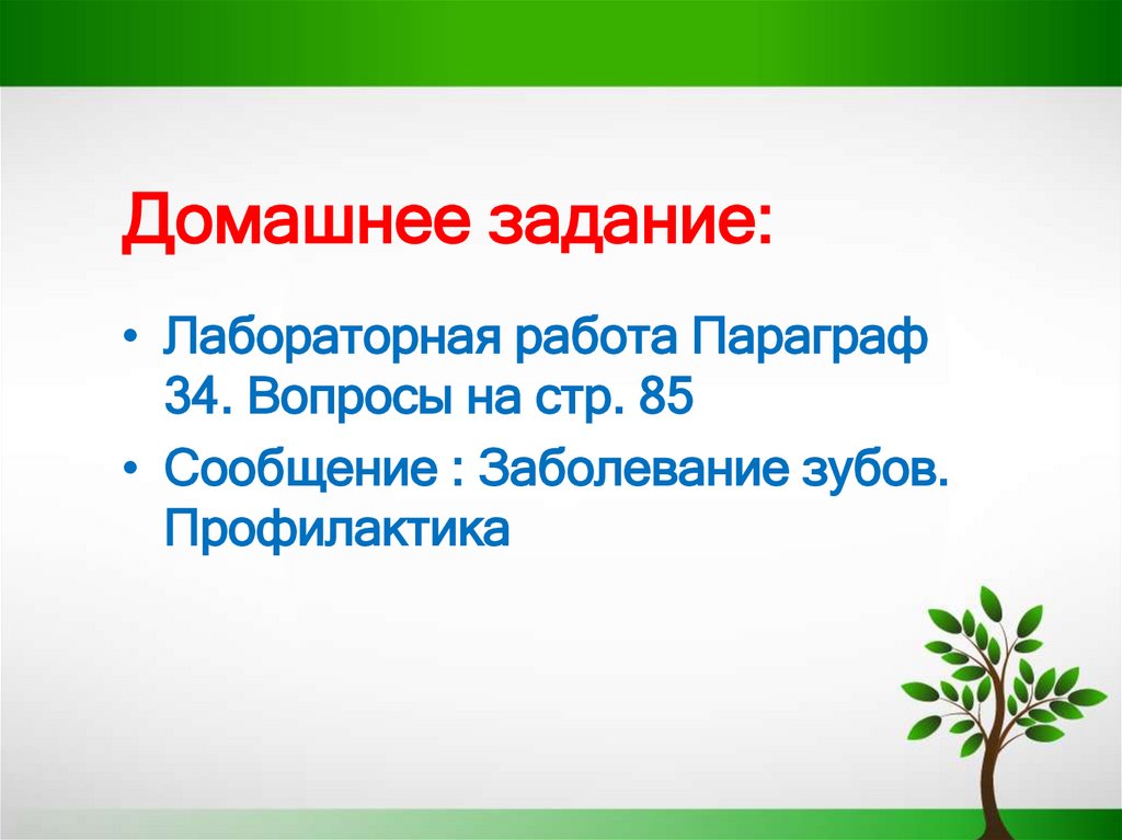 Домашнее задание: