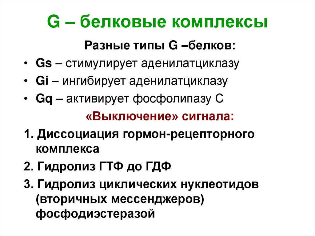 Комплексы белков. Типы g белков. Функции g белков. G белки классификация. Роль g - белков процессе передачи сигнала.