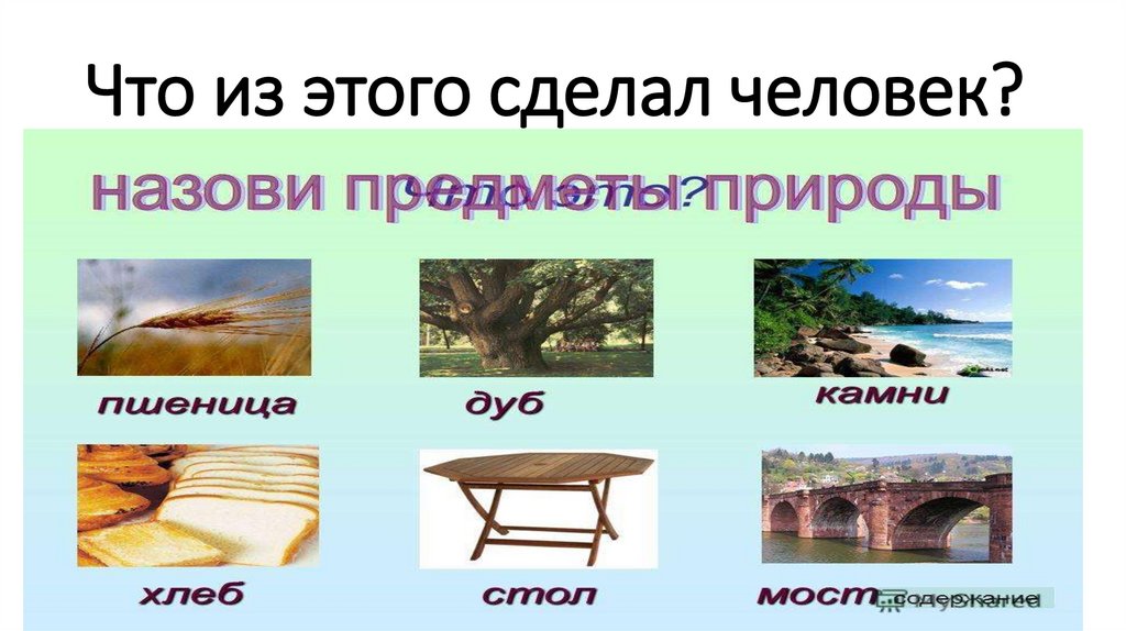 Что из этого сделал человек?