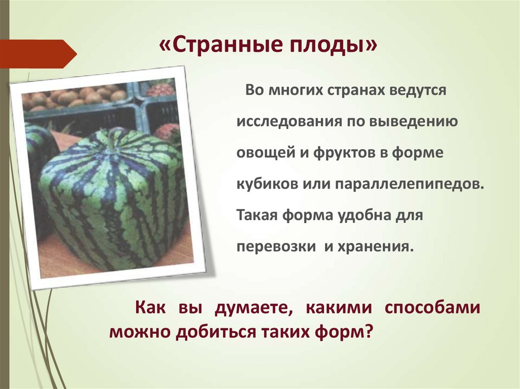 «Странные плоды»