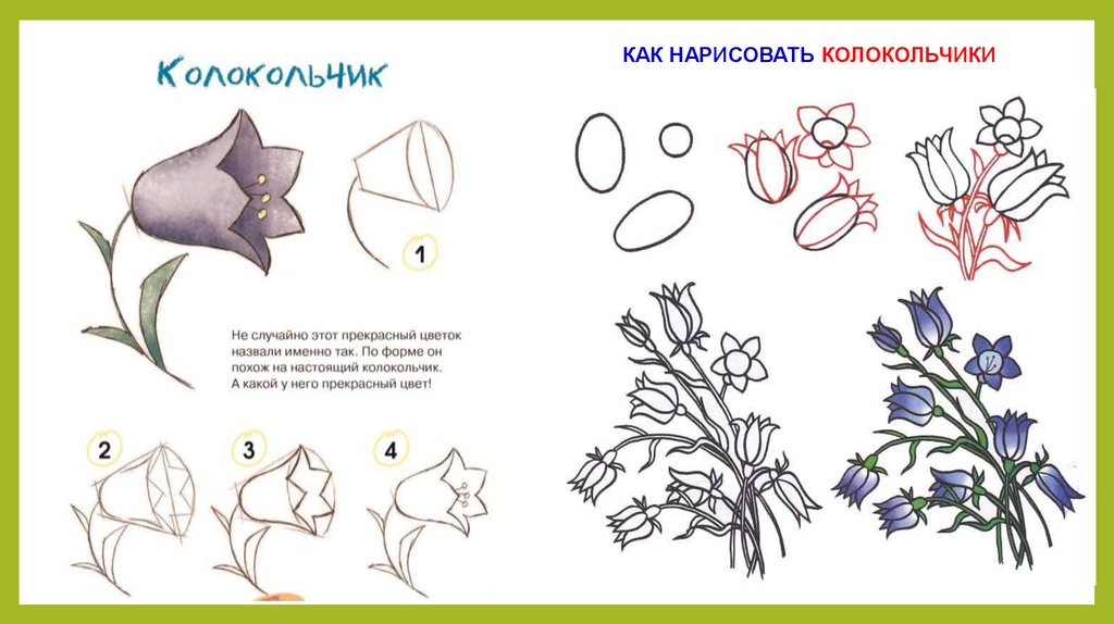 Поэтапное рисование цветов 2 класс презентация