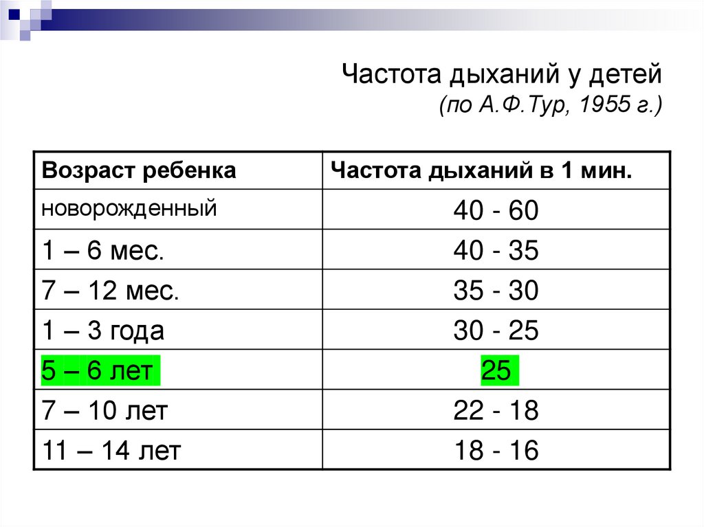 Респираторная система дошкольников