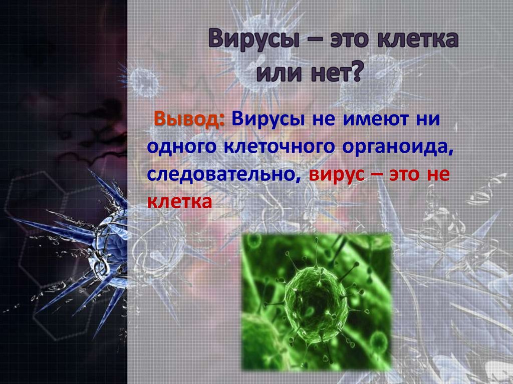 Неклеточные формы жизни это