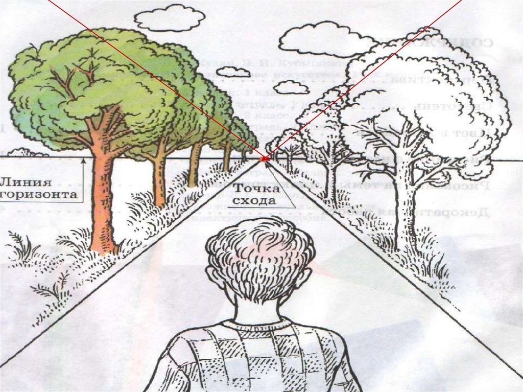 Рассмотрите дерево поближе и вы заметите. Линия горизонта в рисовании. Линия горизонта и точка схода. Иллюстрации линии горизонта. Рисунок с одной точкой схода.