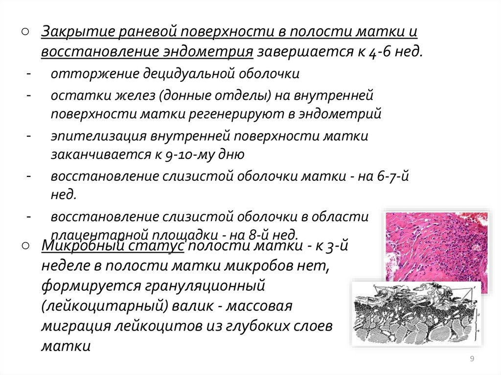 Физиология послеродового периода акушерство презентация