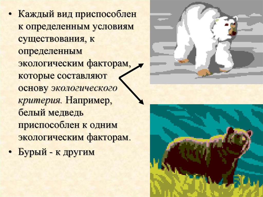 Каждый вид. Экологический критерий белого медведя. Медведь белый и медведь бурый критерии вида. Белый медведь экологические факторы. Белый медведь экологический критерий вида.
