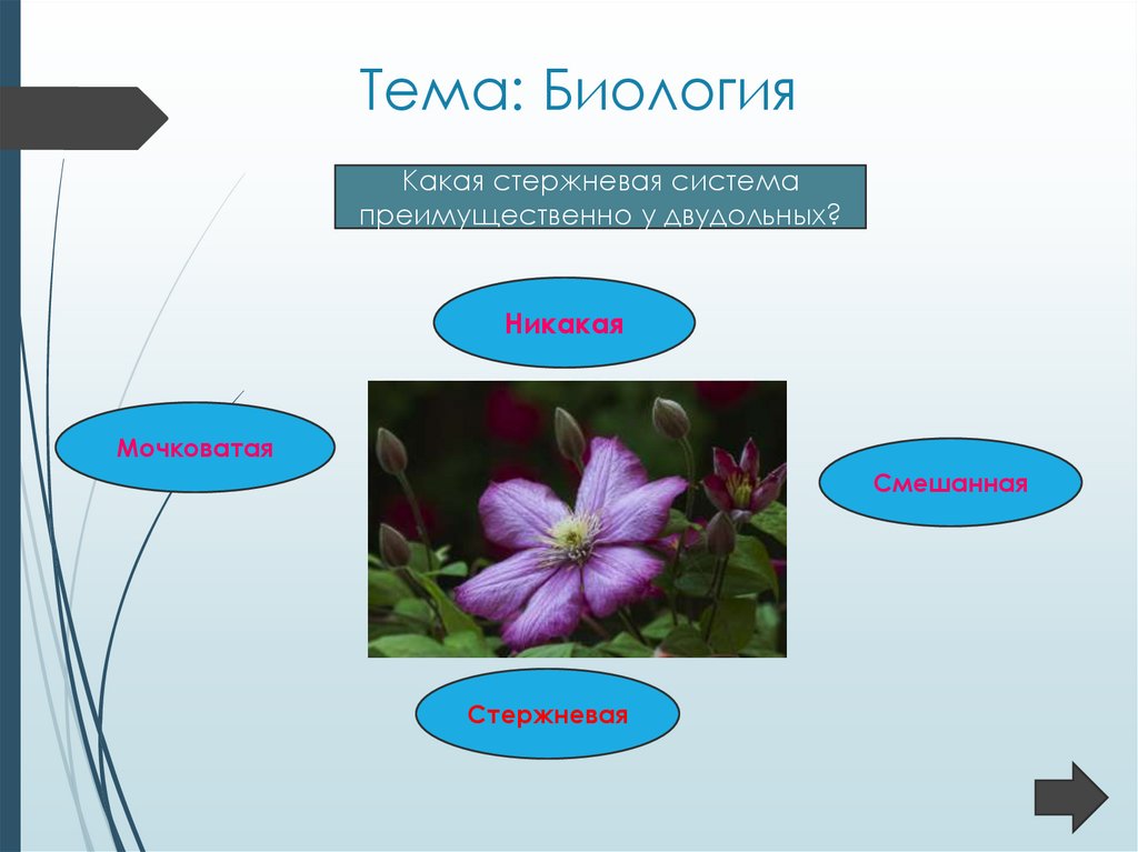 Презентация на тему воля биология