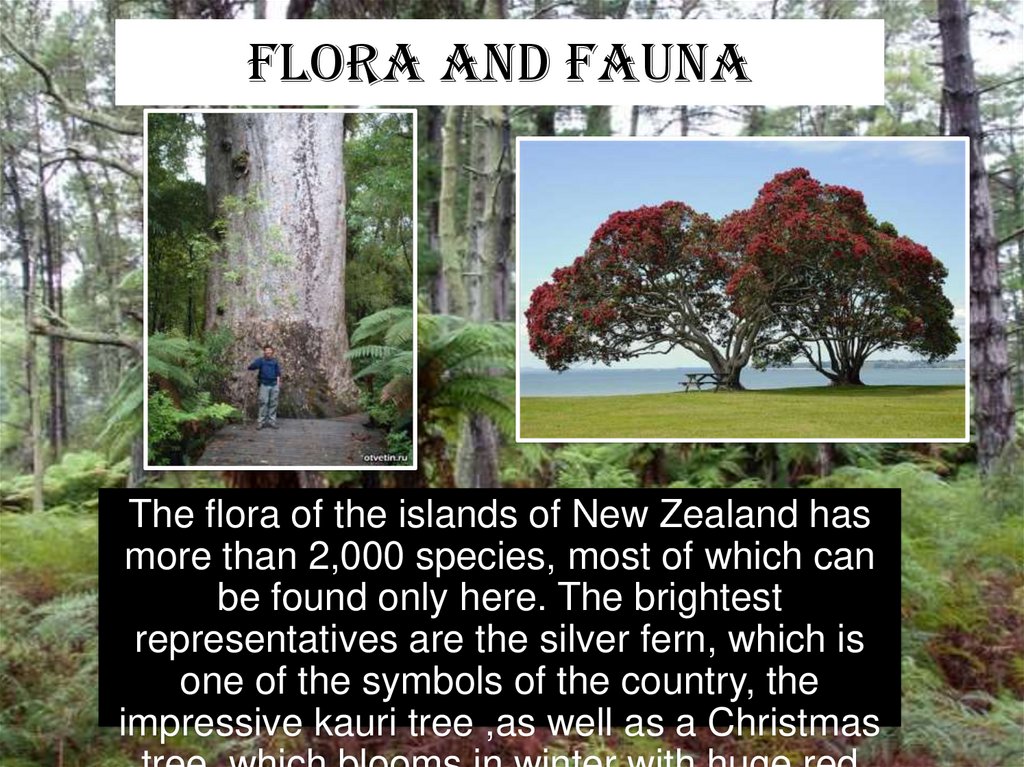 flora and fauna