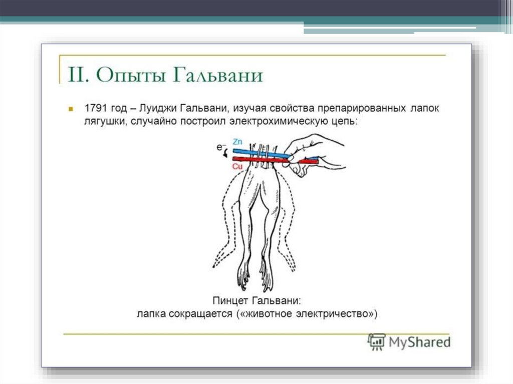 Опыт гальвани фото