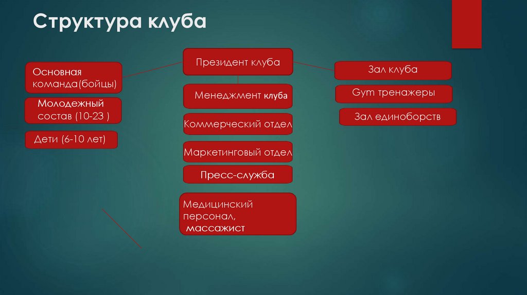 Структура клуба