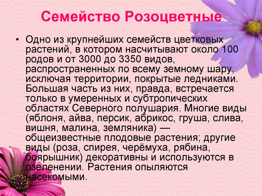 Описание семейства розоцветных по плану 6 класс биология