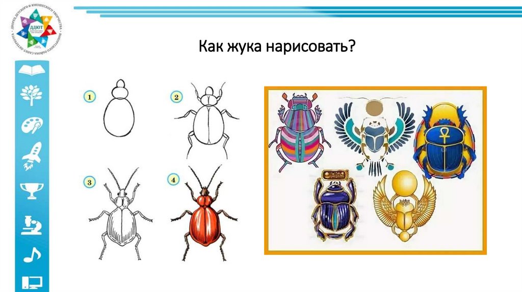 Рисунки жуков 1 класс