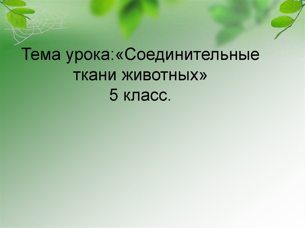 Дышит жив. Жизнедеятельность живых организмов. Процессы жизнедеятельности живых организмов. Презентация творческого продукта. Животные процессы жизнедеятельности.