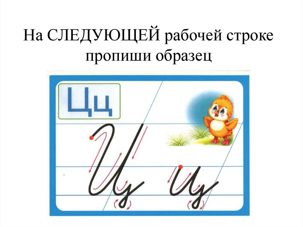 Написание букв звуками. Буква ц письменная и печатная. Написание буквы ц 1 класс. Буква ц образец написания. Написание буквы ц первый класс.