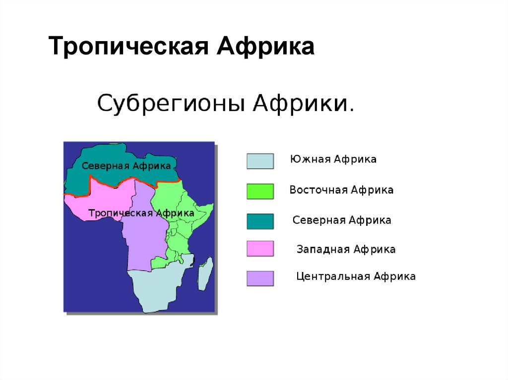 Специализация восточной африки. Субрегионы Северной Африки. Субрегионы Африки на карте. Субрегионы Африки состав территории. Субрегионы Африки Северная Западная Центральная Восточная.