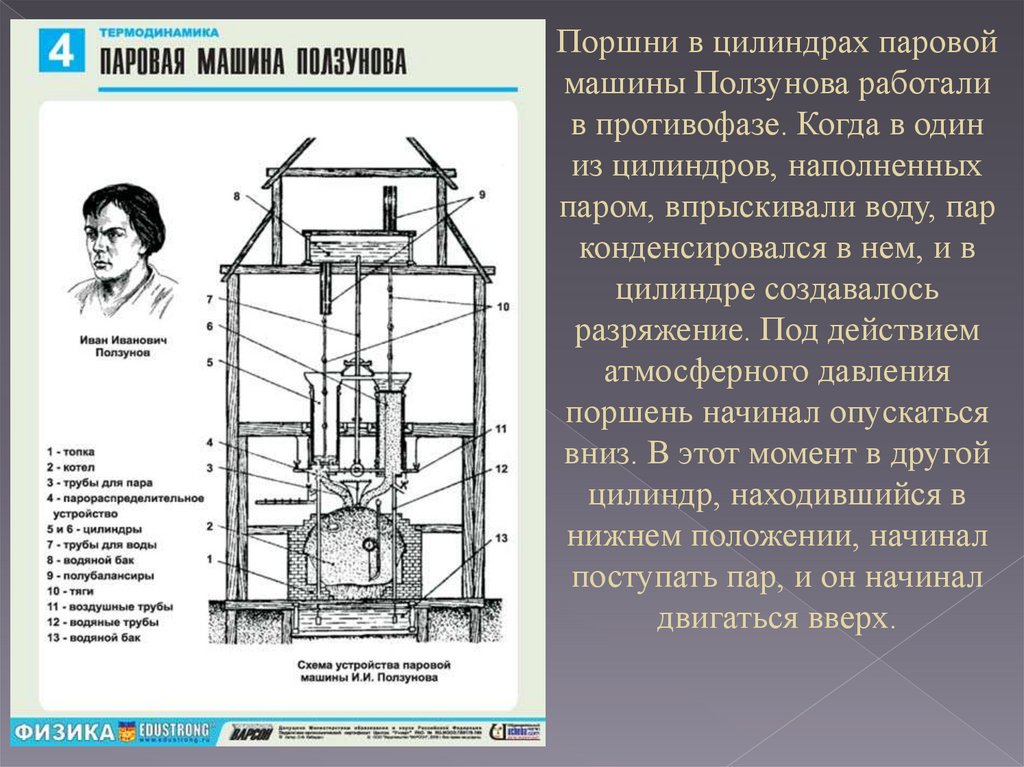 Иван иванович ползунов фото