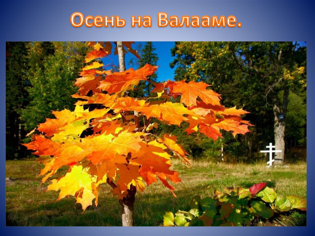 Осень на Валааме.