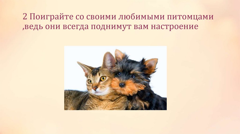 2 Поиграйте со своими любимыми питомцами ,ведь они всегда поднимут вам настроение