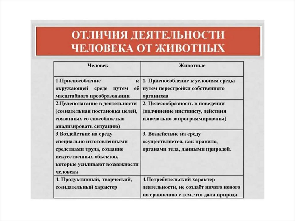 Проявление экономики обществознание. Признаки мировой экономики Обществознание. Виды экономики Обществознание 9 класс.