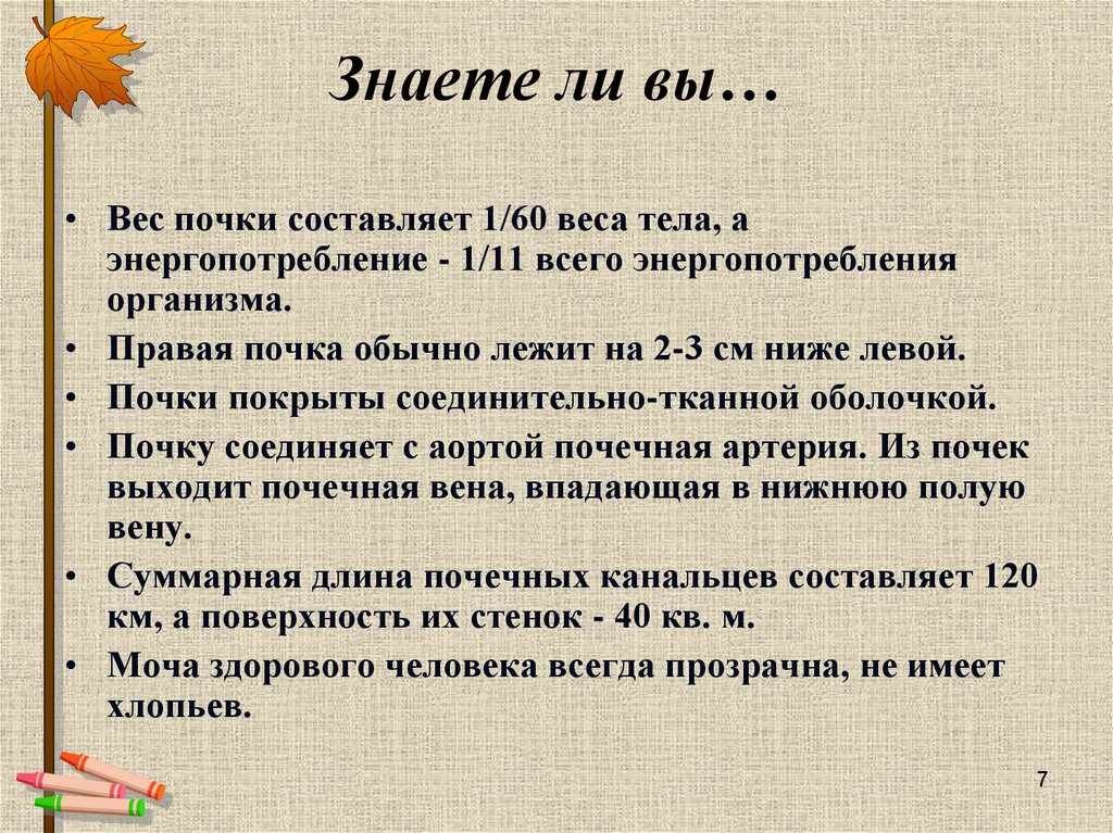 Знаете ли вы…