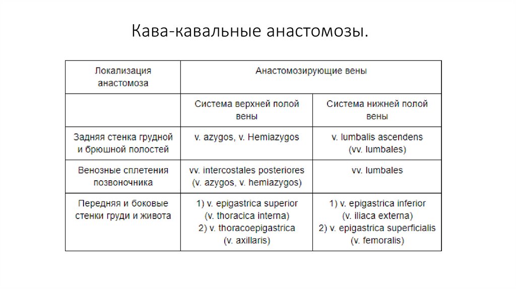 Кава кавальные анастомозы таблица. Кава кавальная методика трансплантации.