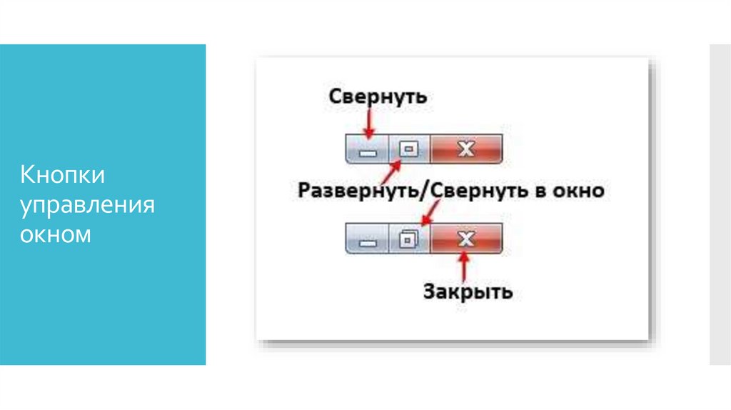 Элементы графического интерфейса кнопка