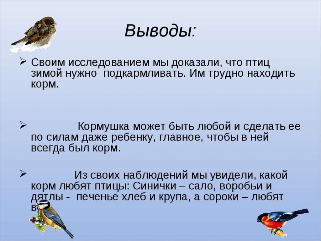 Понаблюдай за какой либо птицей. Птицы презентация. Проект про птиц. Проект зимующие птицы. Зимующие птицы вывод.