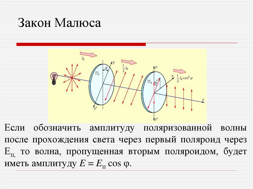 Закон малюса с рисунком