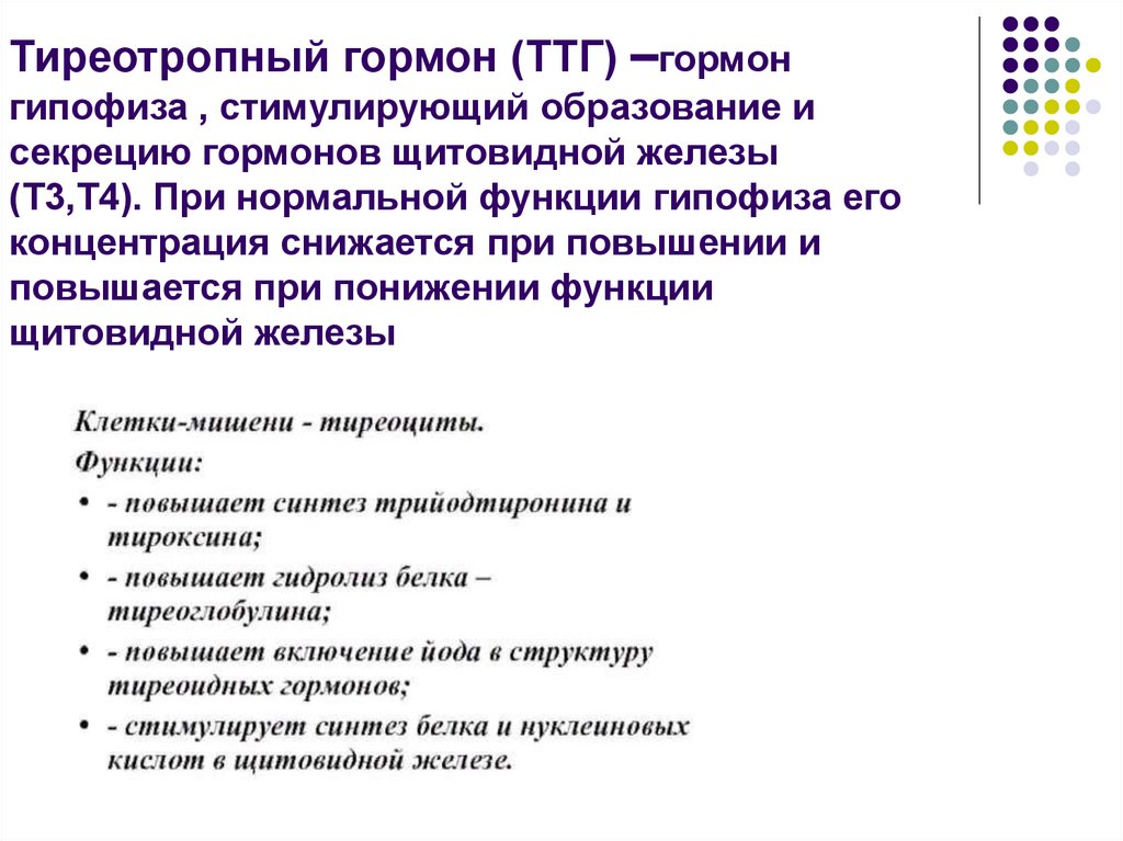 Тиреотропный функции