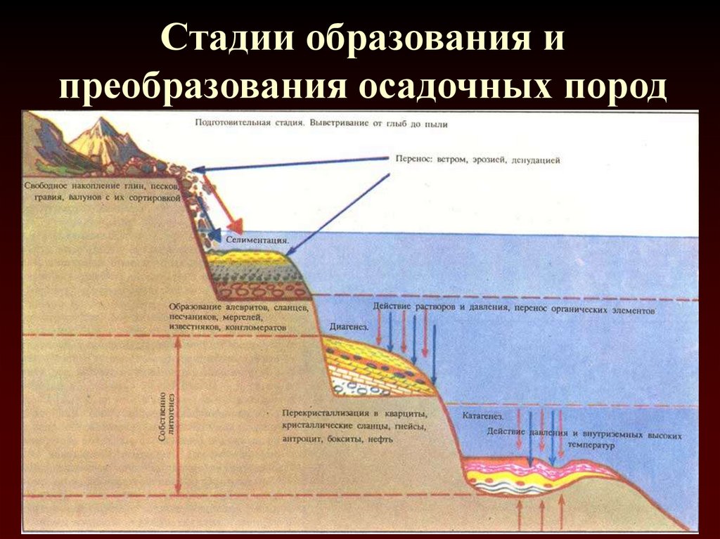 Схема осадочных пород