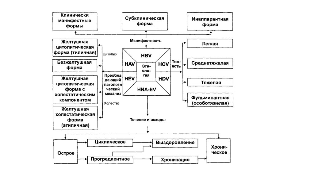 План обследования при синдроме желтухи