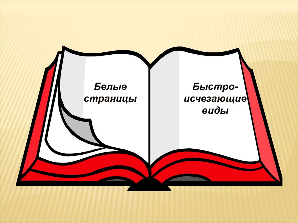 Фон для презентации по красной книге